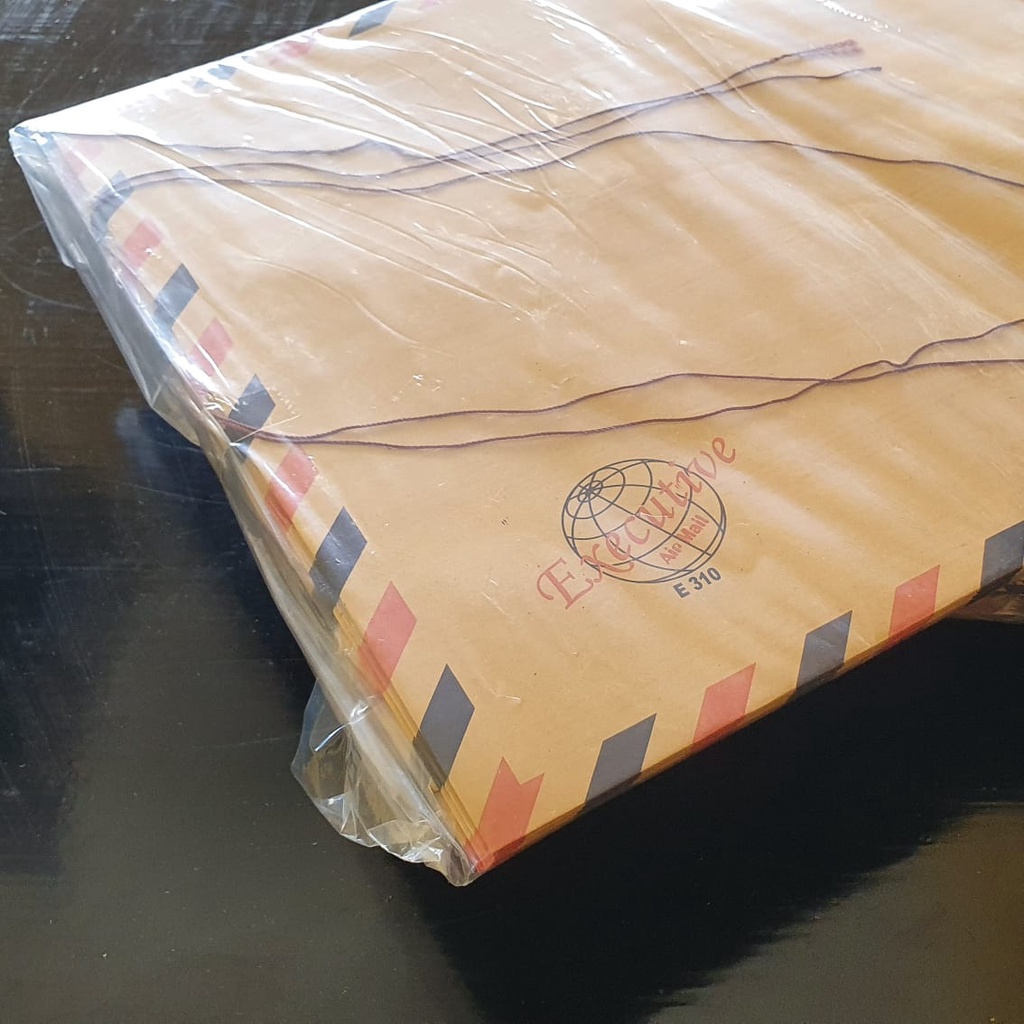 

Map Amplop Tali Executive E-310 (K12)