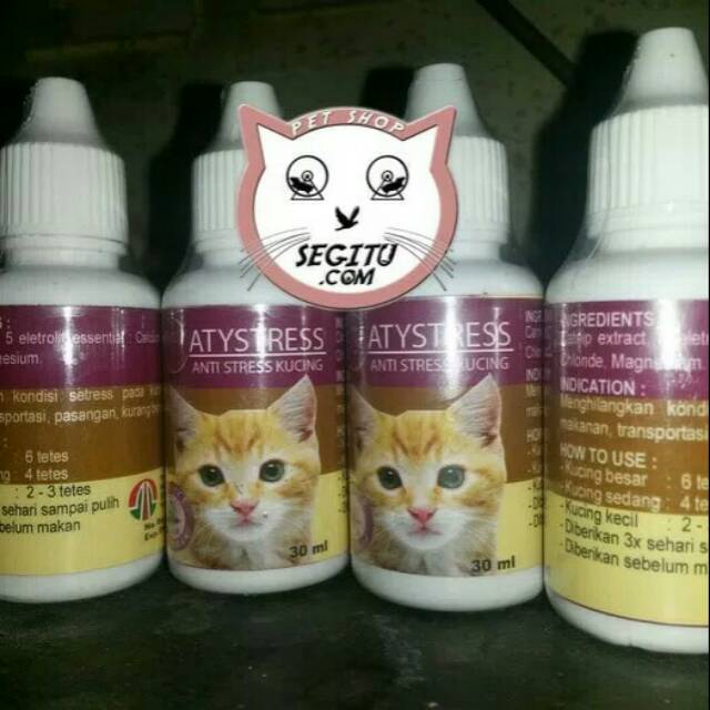 Obat kucing Antistress