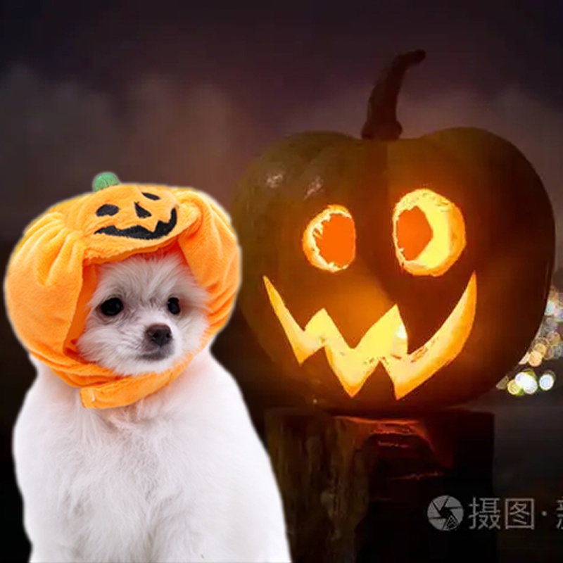 Topi Kucing / Anjing Peliharaan Bentuk Labu / Kelelawar Untuk Kostum Halloween