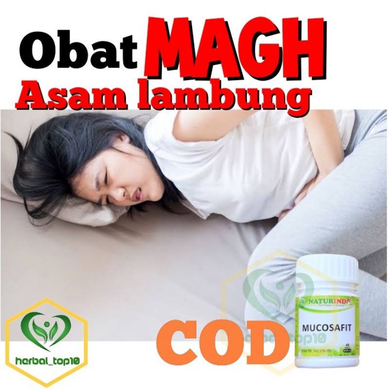 Obat Asam Lambung,Radang Lambung,Gerd, Tukak Lambung,Kanker Lambung,Obat Maag herbal NATURINDO