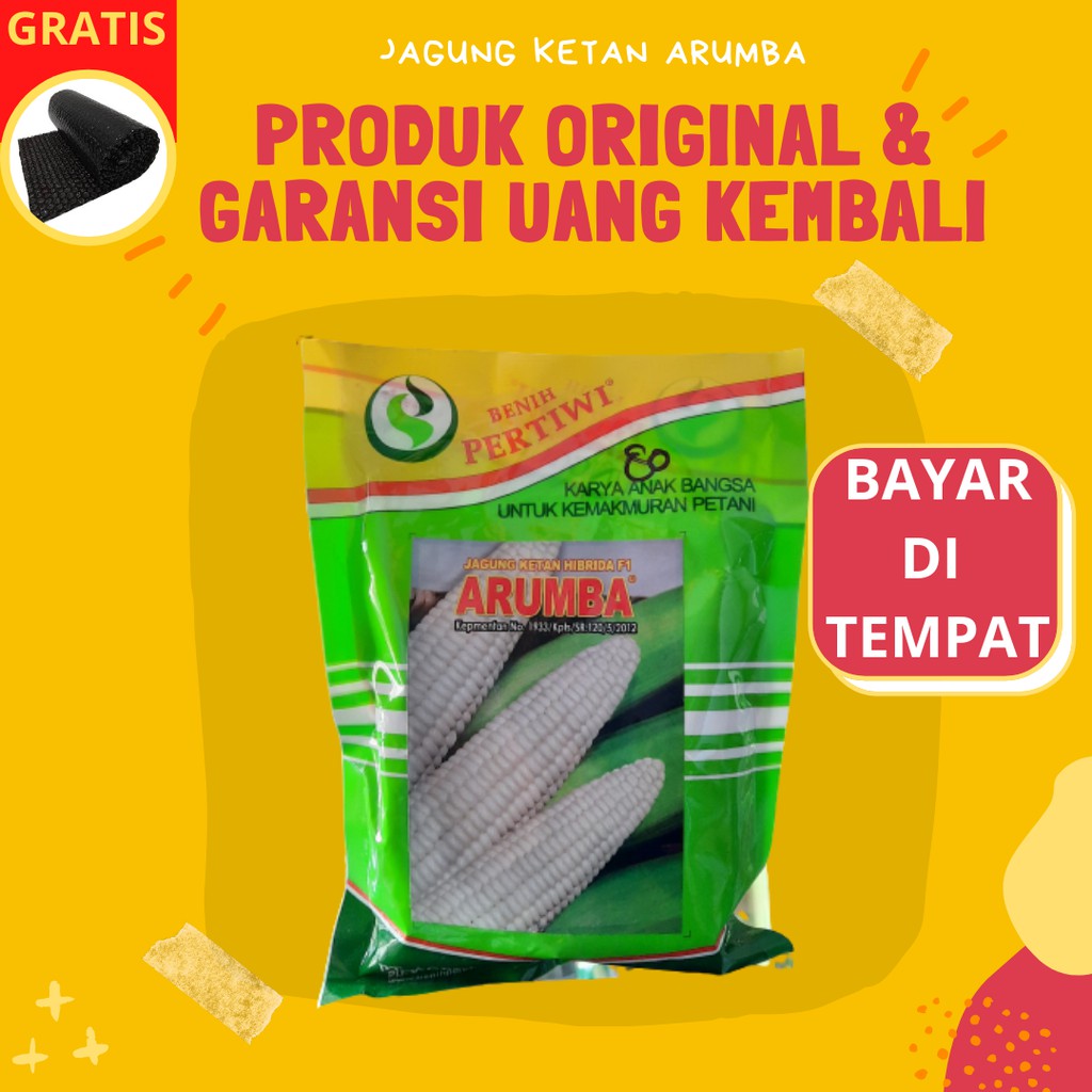 ARUMBA PERTIWI Bibit Jagung Ketan Putih Pulen 250 Gram