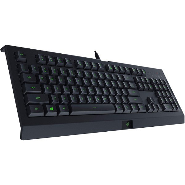 Razer Level Up Gaming Bundle : Cynosa Lite + Viper Mini + Gigantus V2