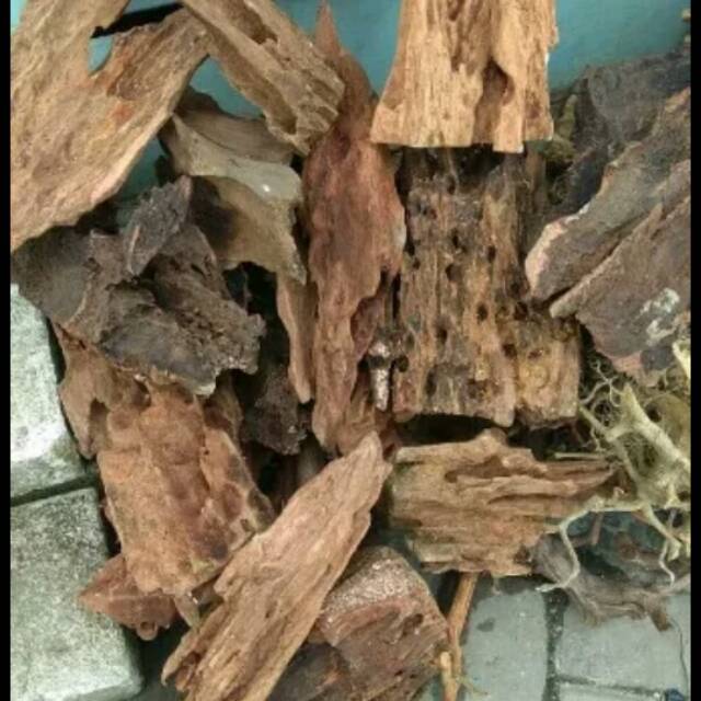 Kayu Rentek Rasamala Shopee Indonesia Kayu Rentek Rasamala Shopee Indonesia