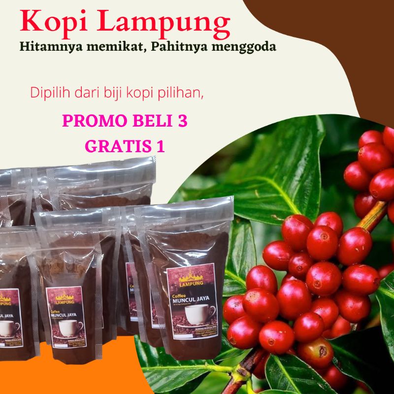 

( PROMO BELI 3 GRATIS 1) Kopi Bubuk Original Asli Lampung