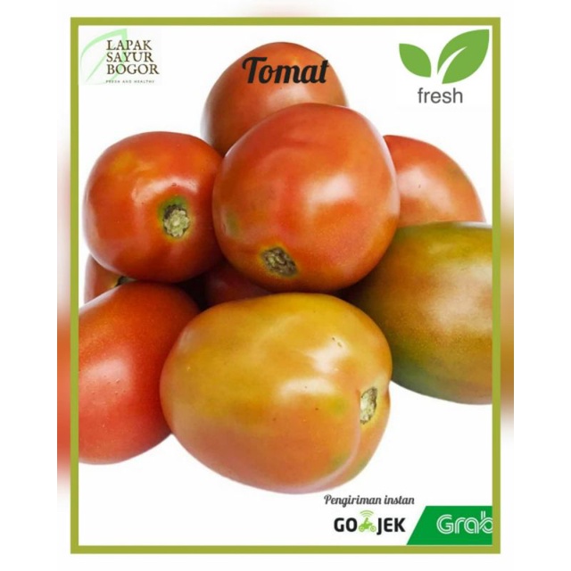 

Sayur toma segar tomat 500gram