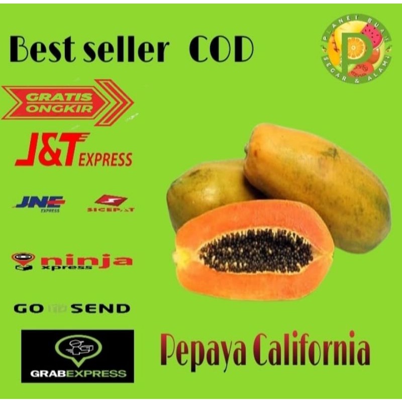 

BUAH PEPAYA CALIFORNIA LOKAL MATANG MANIS SEGAR HARGA PER BUAH