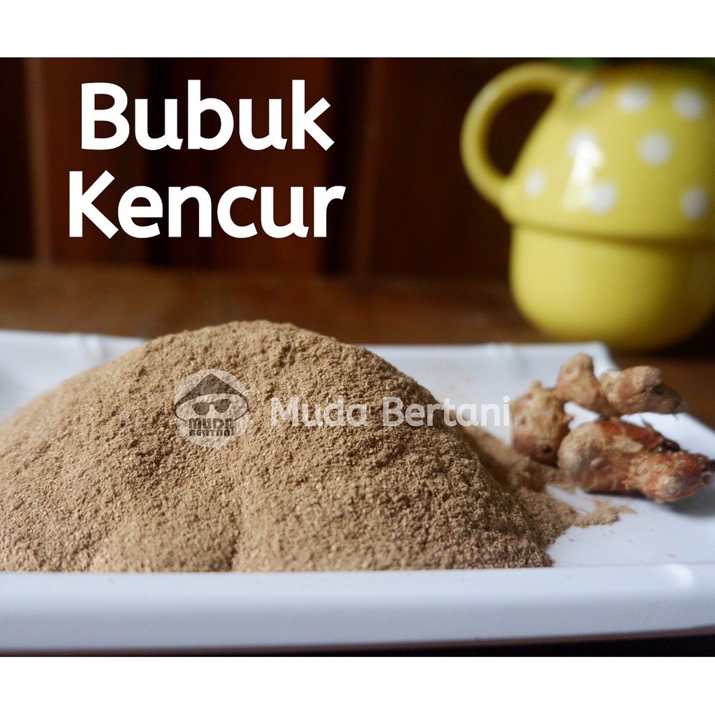 BUBUK KENCUR 100 g MURNI TANPA CAMPURAN GULA/ KAEMPFERIA GALANGA/ GALANGA POWDER