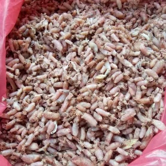 

cumi baby asin kering khas Medan berat 250gram