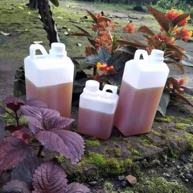 

Madu lebah 1 kg