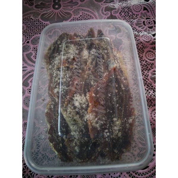 

DENGDENG IKAN MANIS (JAPUH)TERENAK TERMURAH