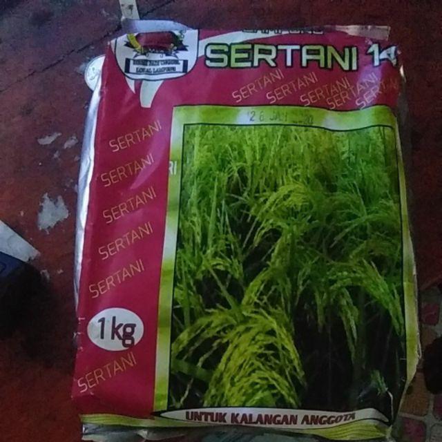 Benih Padi Unggul Bibit Sertani 14