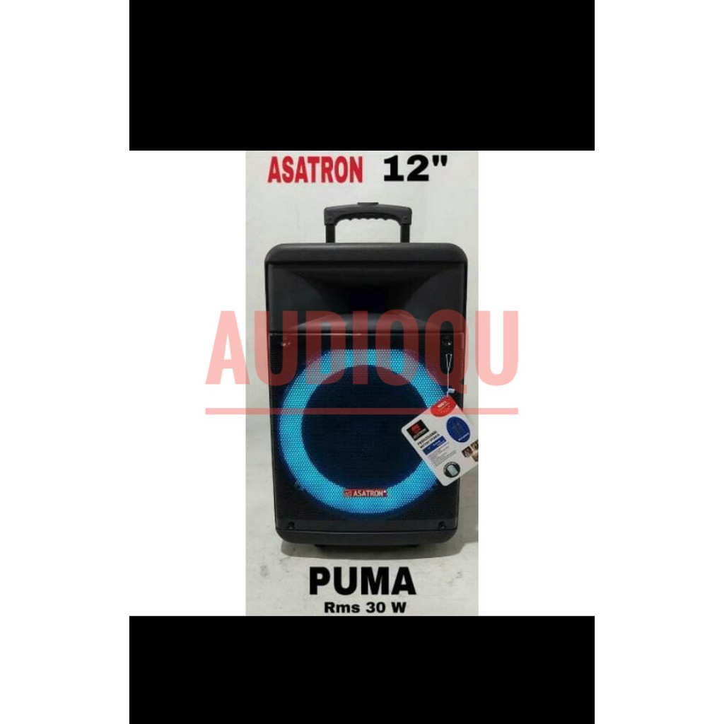 Speaker Portable Meeting Wireless Asatron Puma 12inch