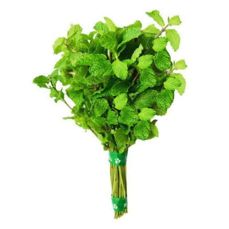 

Daun Mint 100gr