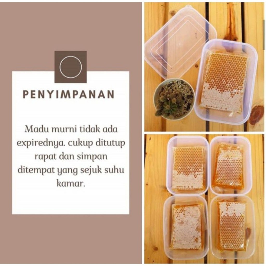 

MADU SARANG ASLI