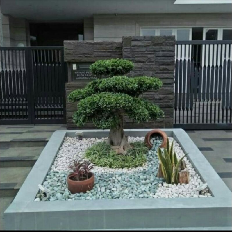 taman+kering+batu+minimalis
