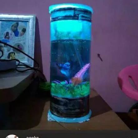 |Terbaru| Aquarium Mini Plus Mesin Oksigen || Wg Aquarium Tipe V2 |Promo