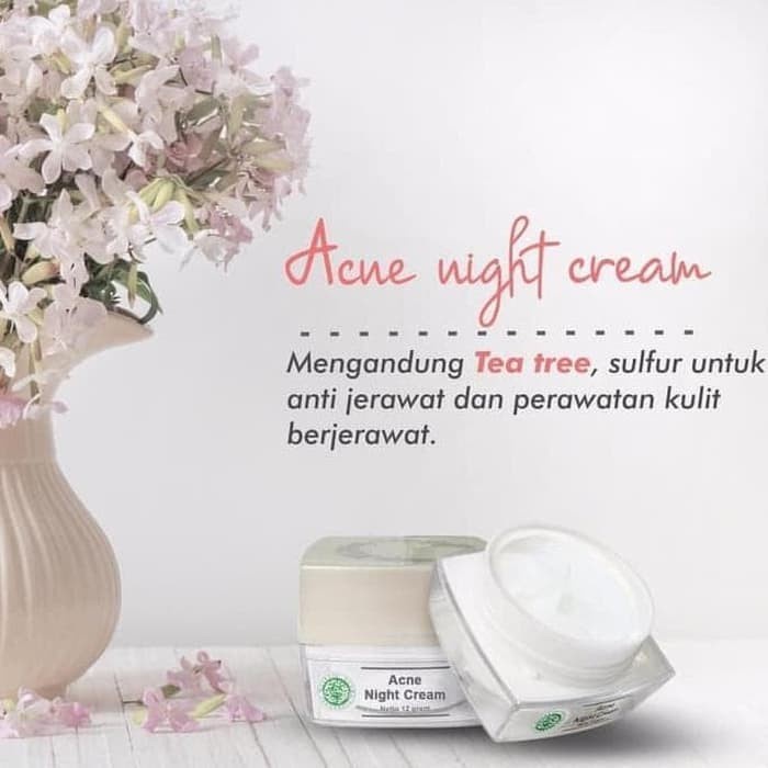 Acne Night Cream Ms Glow Original