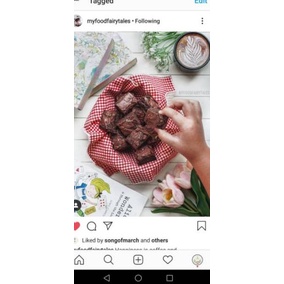 

Best Quality Brownies medium size READY (15pcs) d43♔
