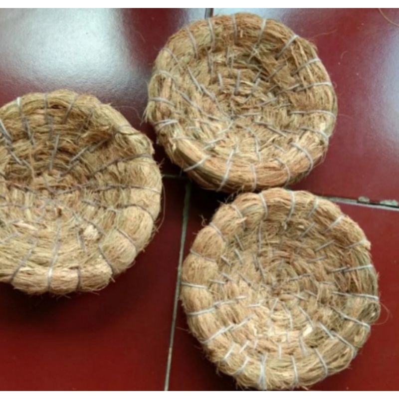 sarang burung sabut kelapa sarang burung perkutut