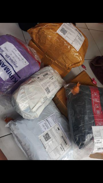 Tanaman Hias Lili Paris - Tanaman Umbi Umbian