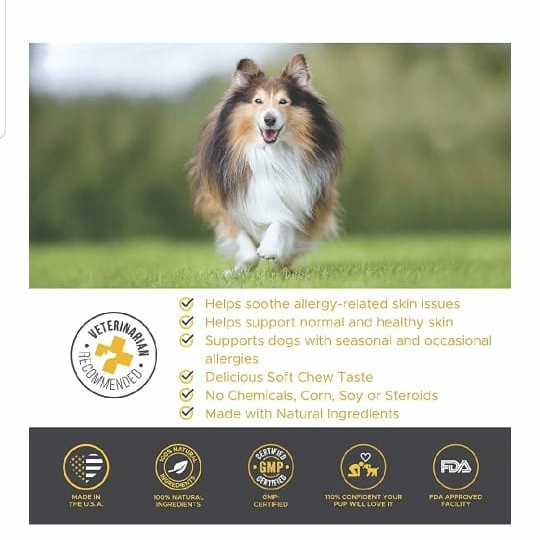 Pethonesty Allergy Skin Health For Dogs Vitamin Bulu Dan Kulit Usa Shopee Indonesia