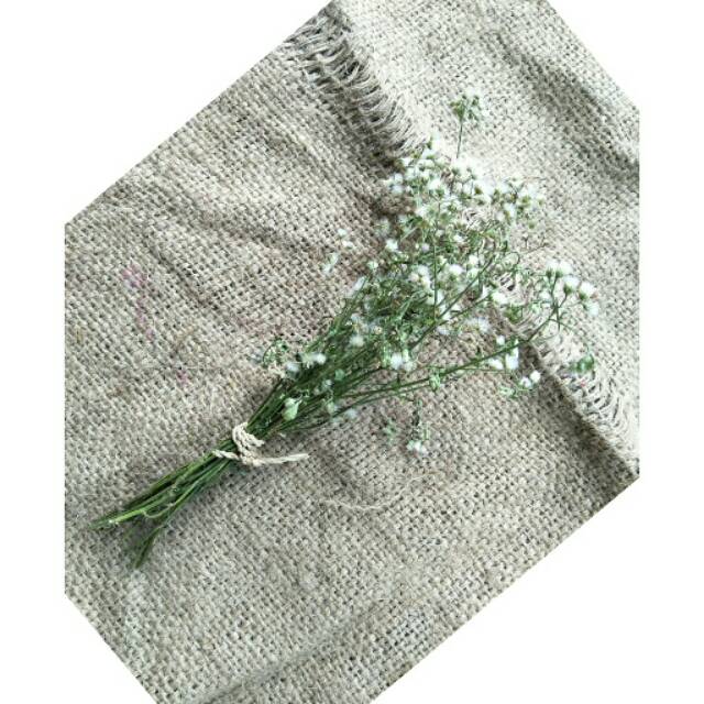 

Little snowy bunga kering