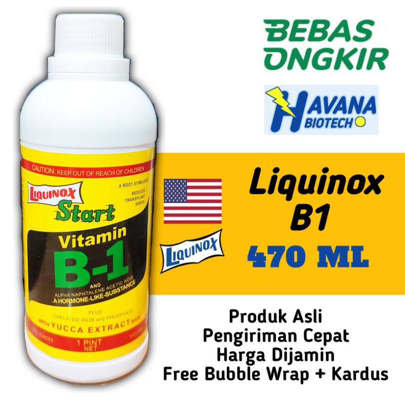 Jual Liquinox Start Vitamin B1 Tanaman 470 ML | Shopee Indonesia