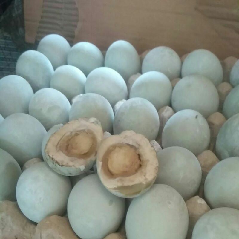 

TELOR ASIN ASLI KAMPUNG DEMAK