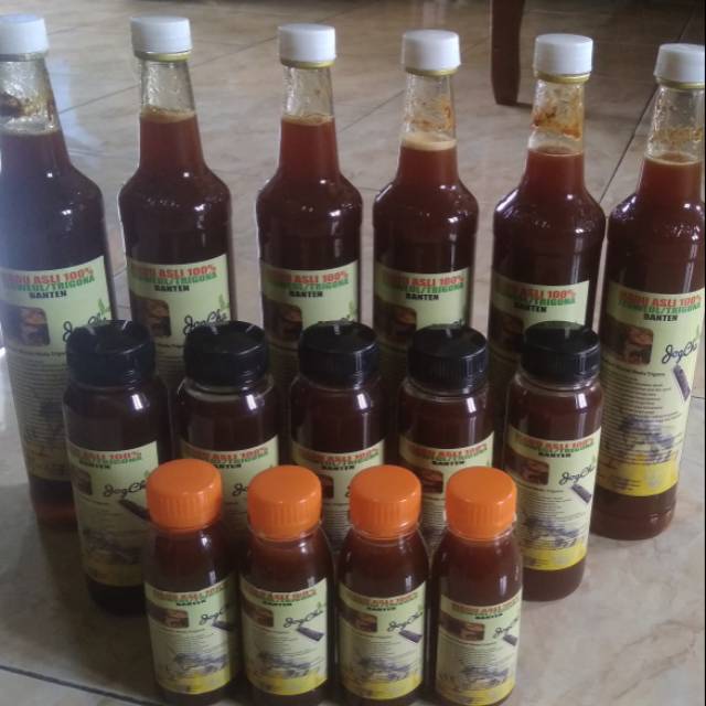 

MADU TRIGONA ASLI 100%