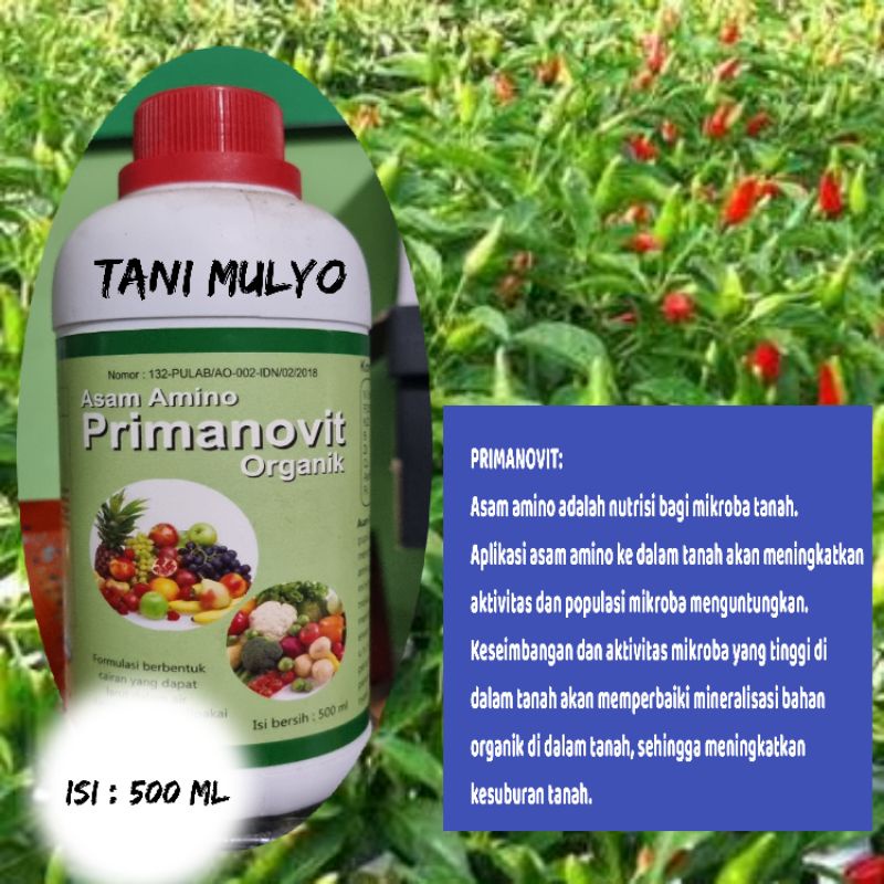 PRIMANOVIT (ASAM AMINO) 500 ML