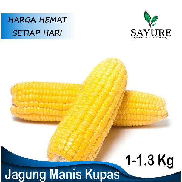 

JAGUNG MANIS KUPAS 1 KG