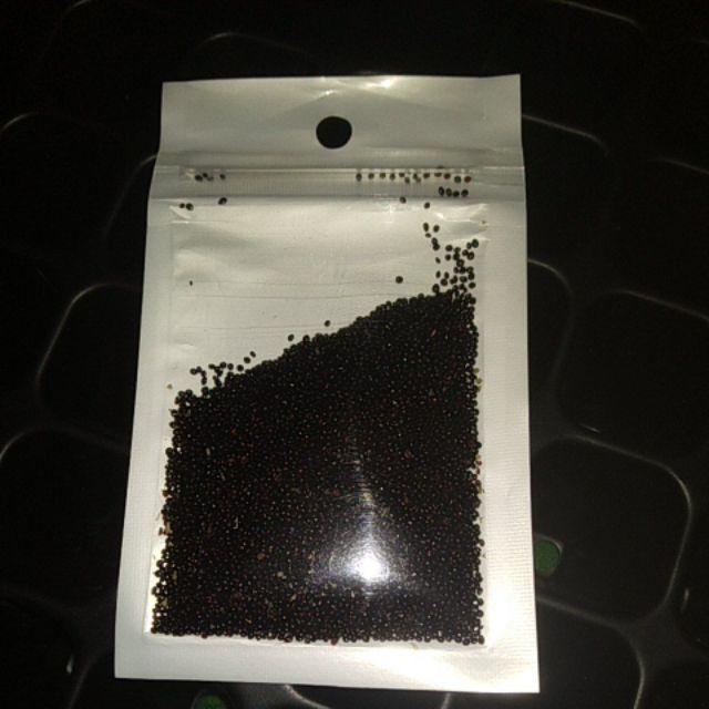 Benih Bayam Kemasan Repack Isi Ratusan Kemasan Zip Lock