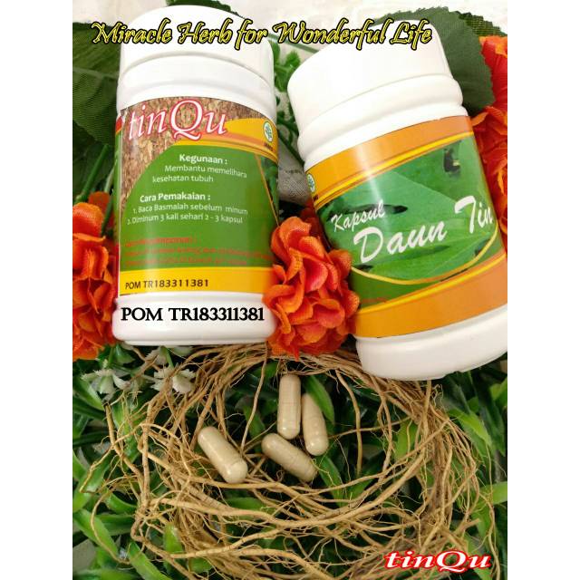 

Kasul daun tin