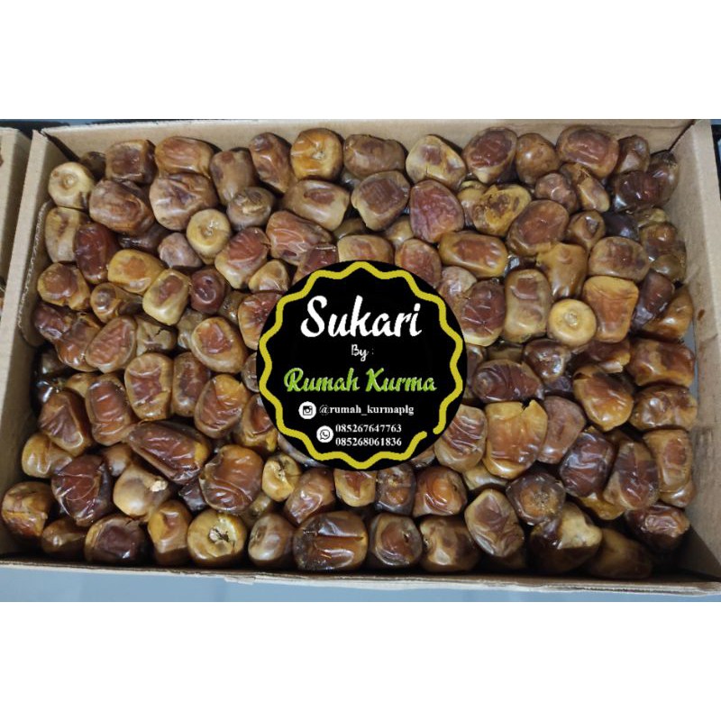 

Kurma sukari 1 kg