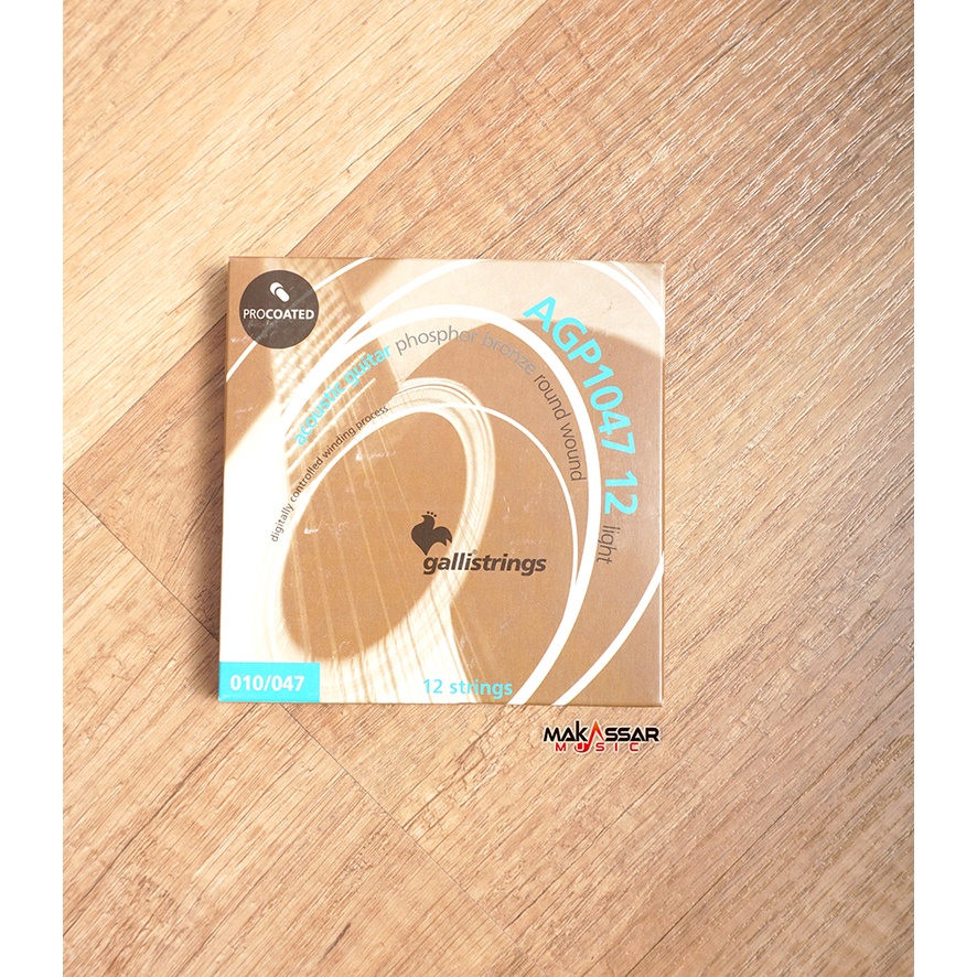 GalliString 10-47 12-String acoustic guitar Phosphor Bronze AGP1047-12