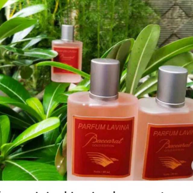 PARFUM GARUDA LAVINA BACCARATcarat