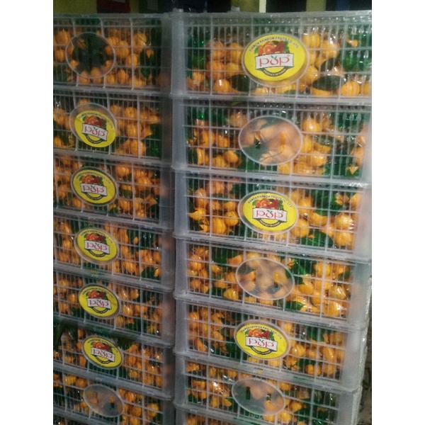 

1 Keranjang Jeruk Santang Madu Manis Buah Shantang Fresh 6Kg