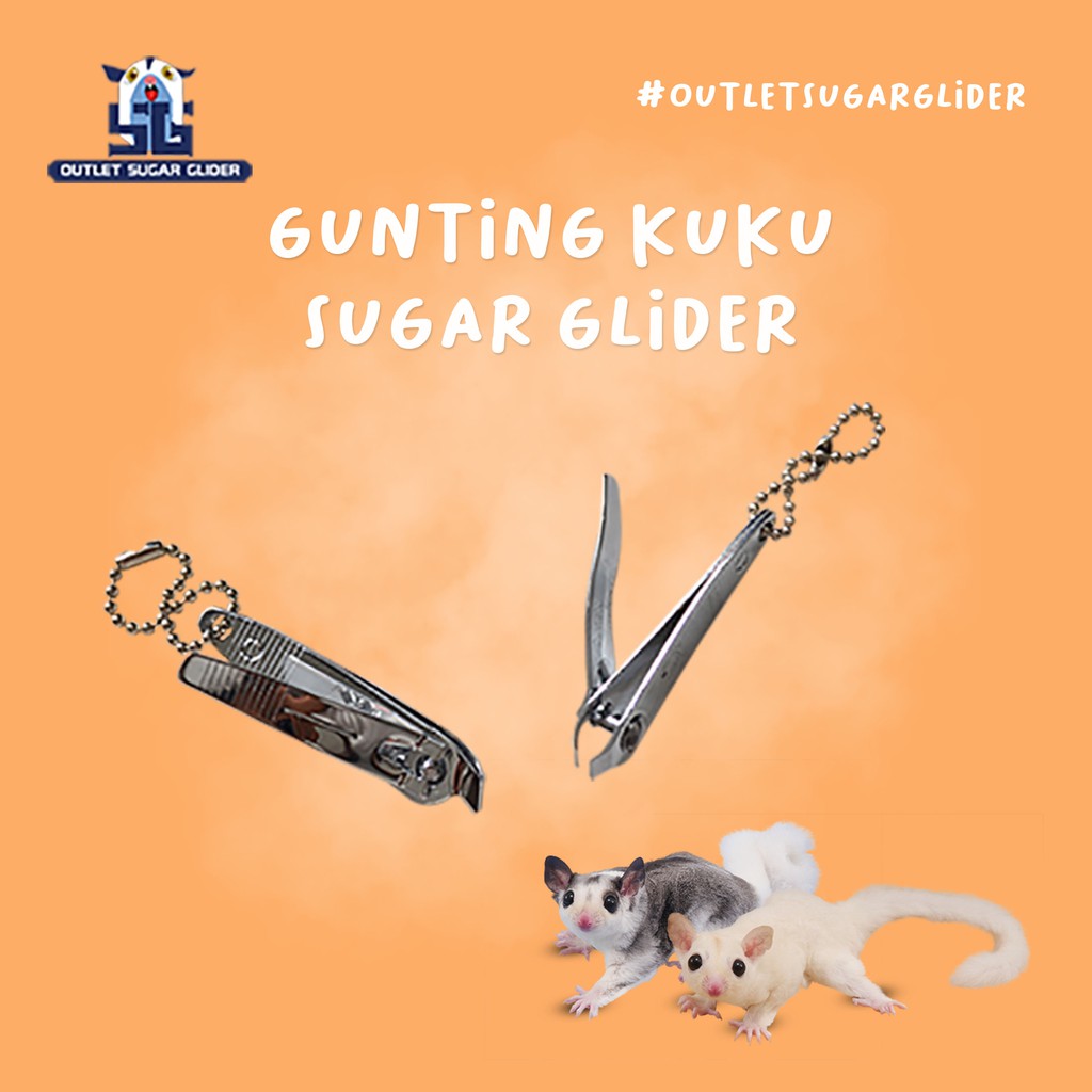 GUNTING KUKU HEWAN SUGAR GLIDER / KUCING / RAPTILE / HAMSTER / KELINCI