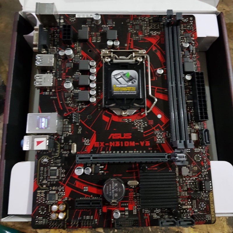 asus ex h310m