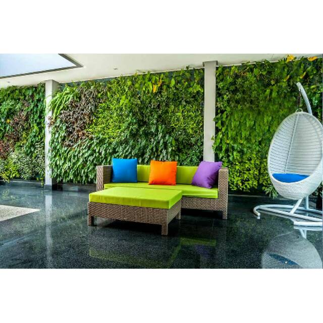 Vertikal garden - taman vertikal