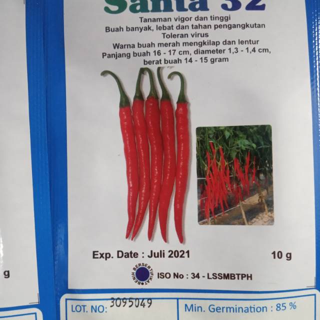BENIH CABE BESAR UKURAN SEDANG SANTA32 10gram
