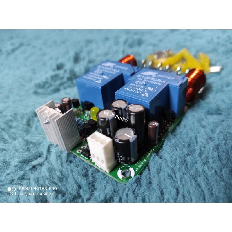 Speaker protektor