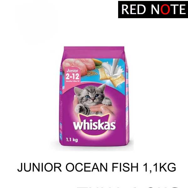 Whiskas Junior Ocean Fish 1.1kg