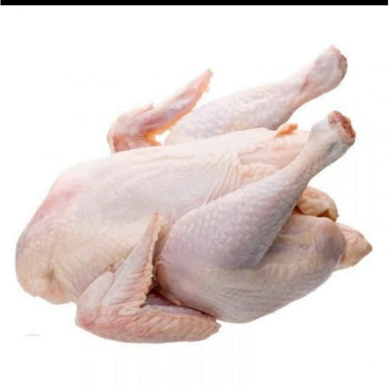 

ayam karkas broiler ukuran 1 - 1.1 kg