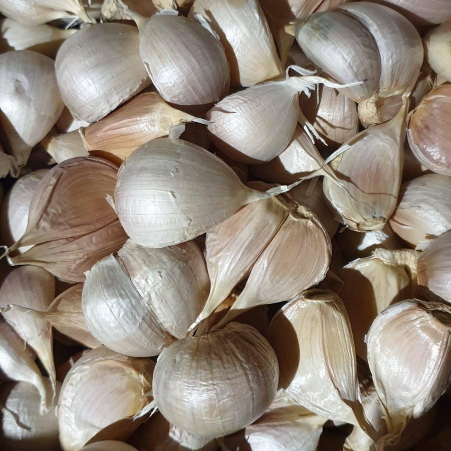 

Bawang putih kating 500gram