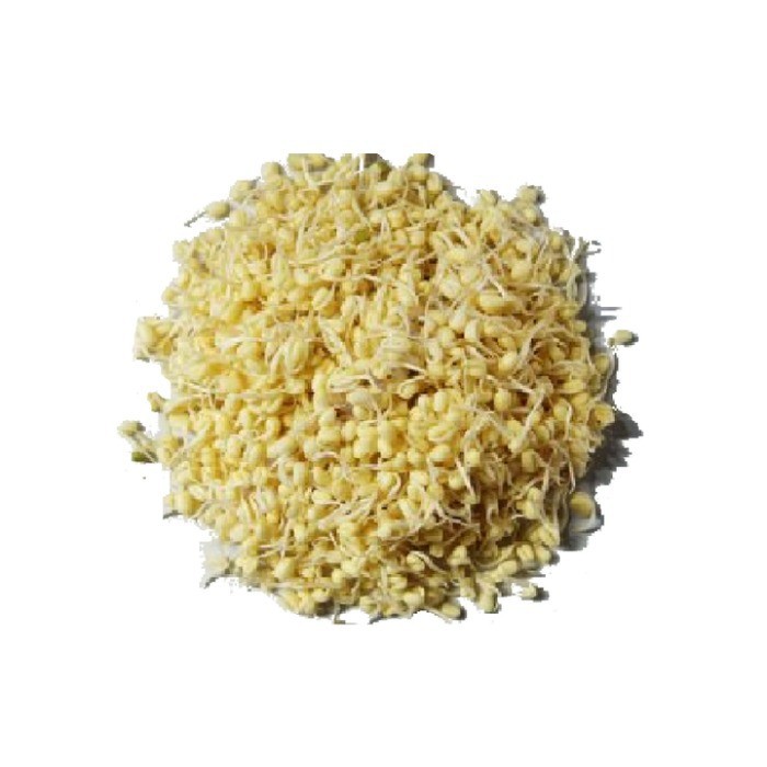 

Tauge Pendek 250gr, Kecambah Pendek Pack Sayuran Sehat