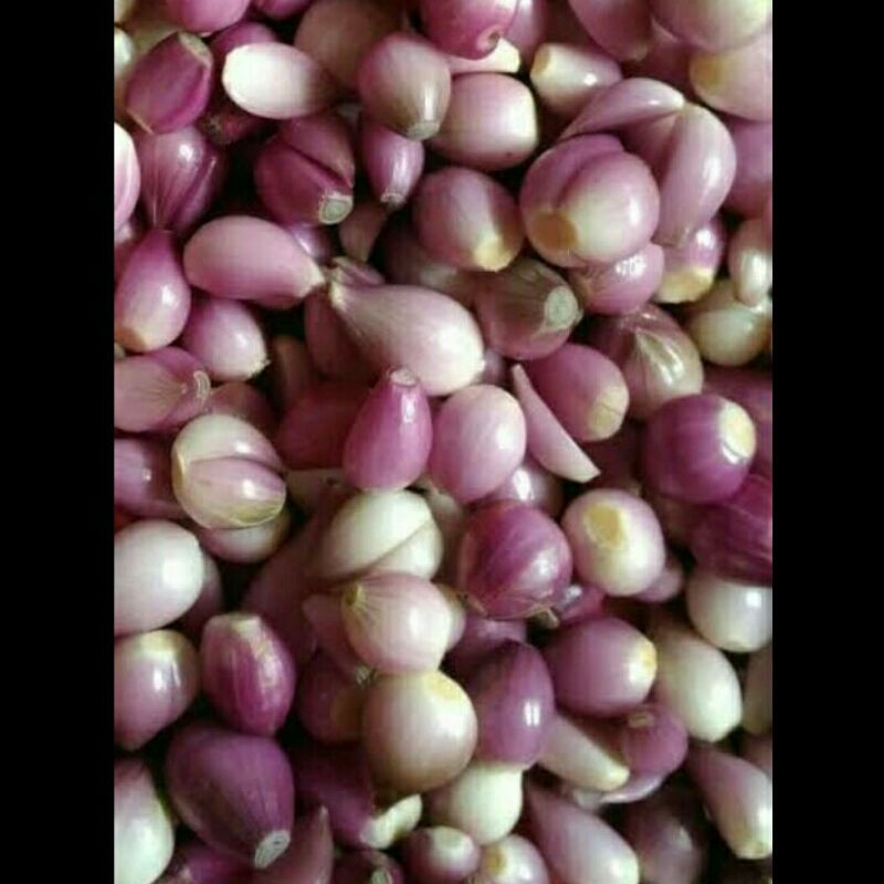 

BAWANG MERAH KUPAS per 100gr