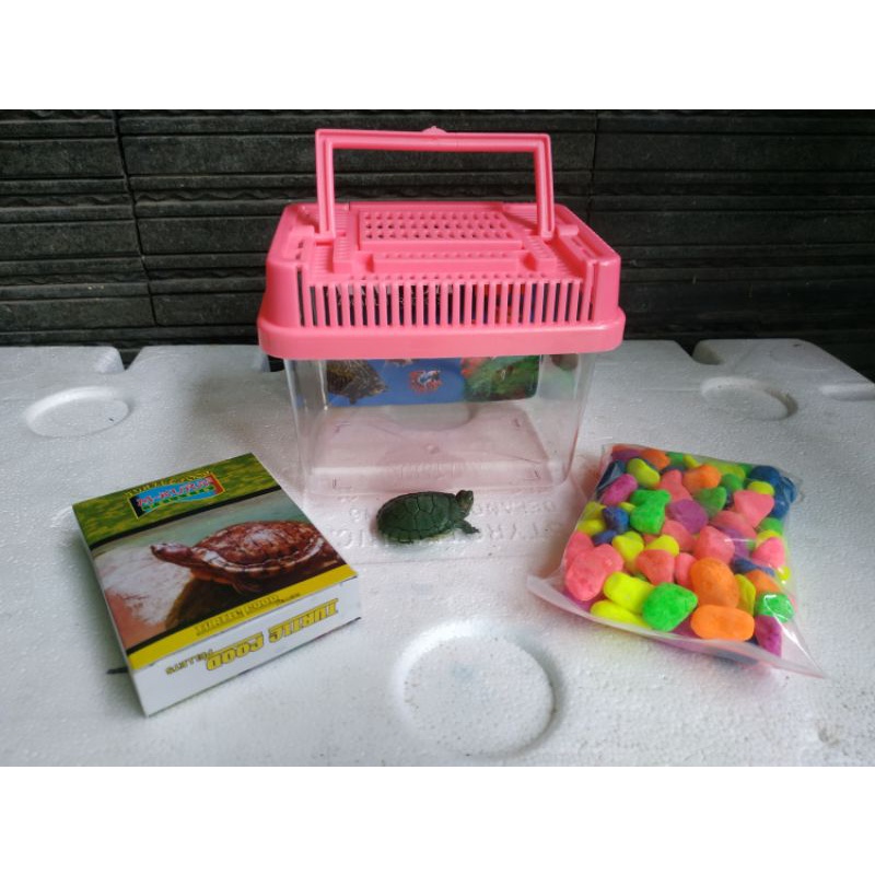 Paket Hemat - Pelihara Kura-kura Brazil / Aquarium Kura - Kura Brazil 3-4 cm Sehat Lucu