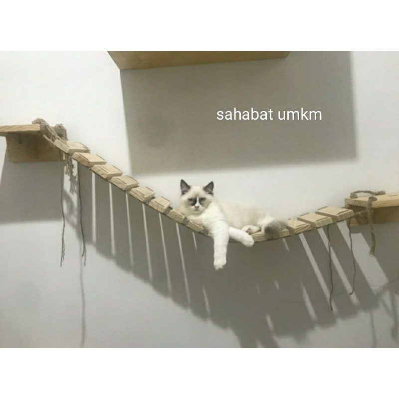 kandang kucing rumah kucing kayu jembatan ambalan kucing kayu custom
