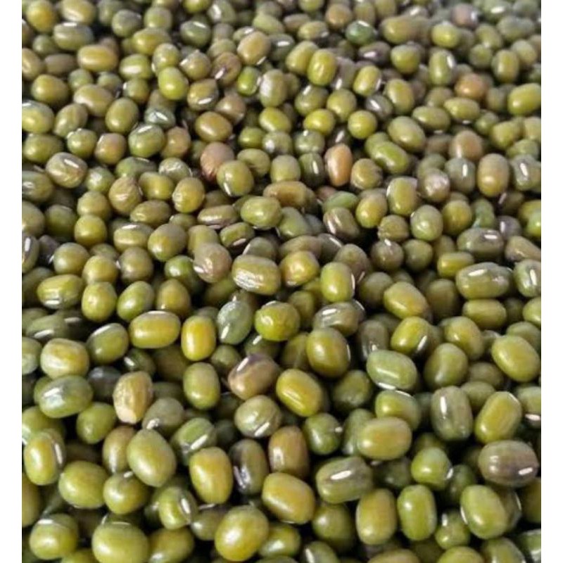 

kacang hijau